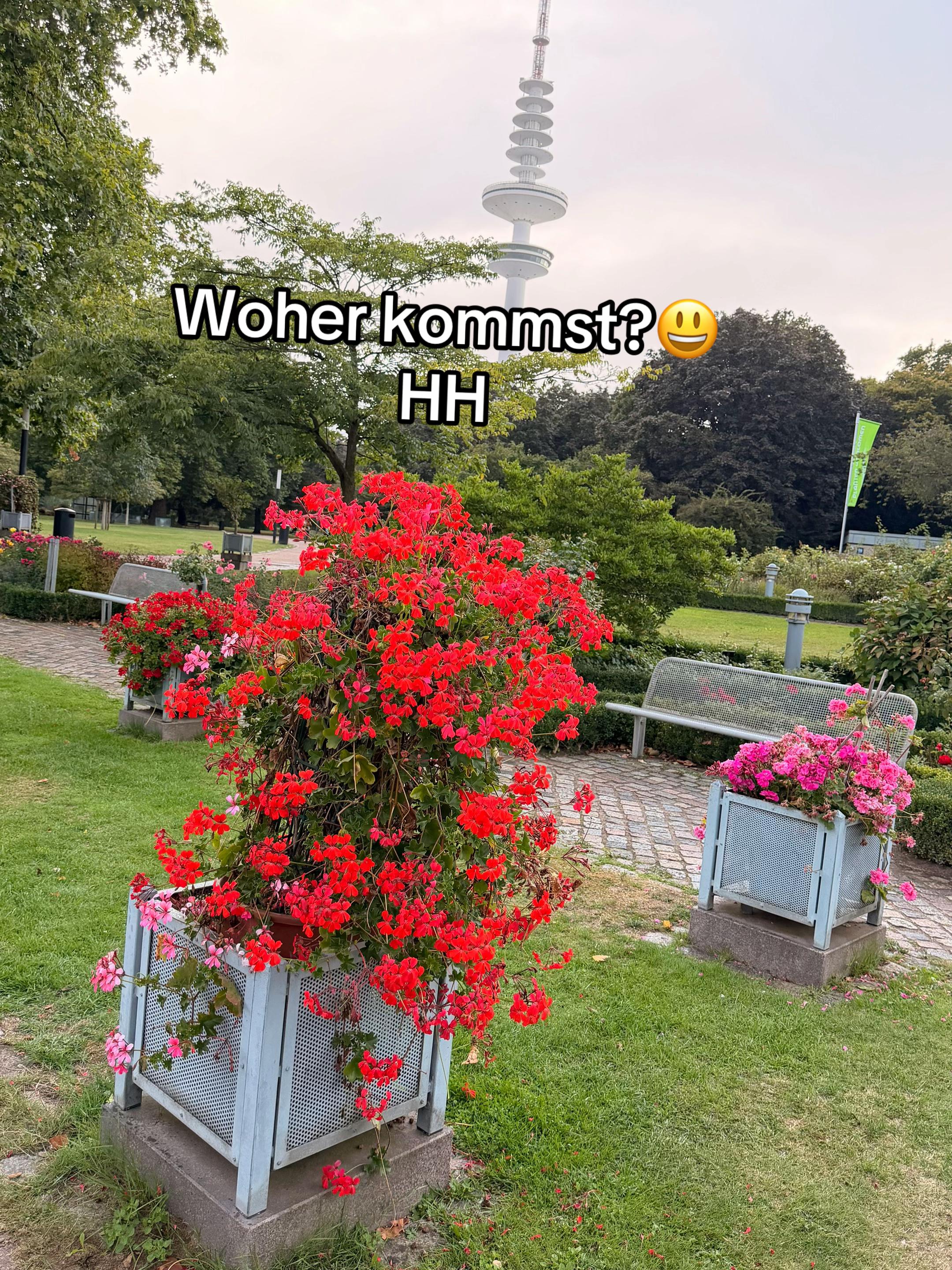 @𝗟𝗶𝗻𝗮. ♡