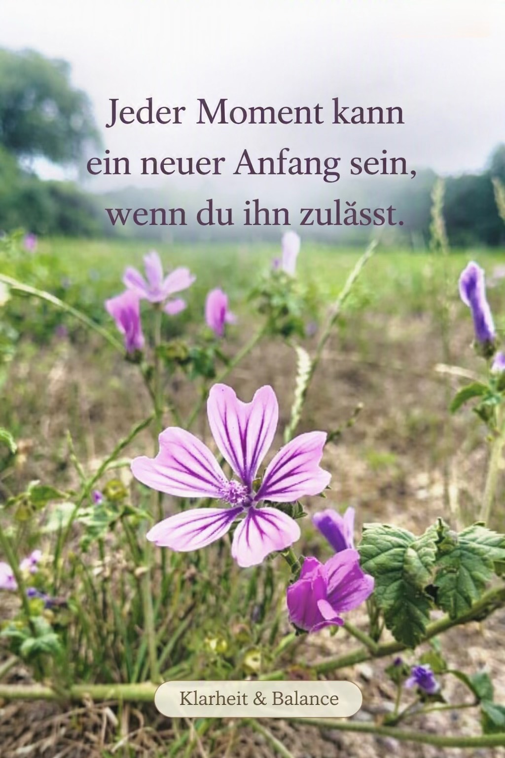 @Lily🇩🇪🇹🇭 ที่นี่มีกำลังใจ💕