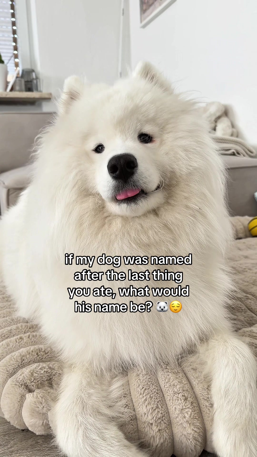 @snowydayswithlio