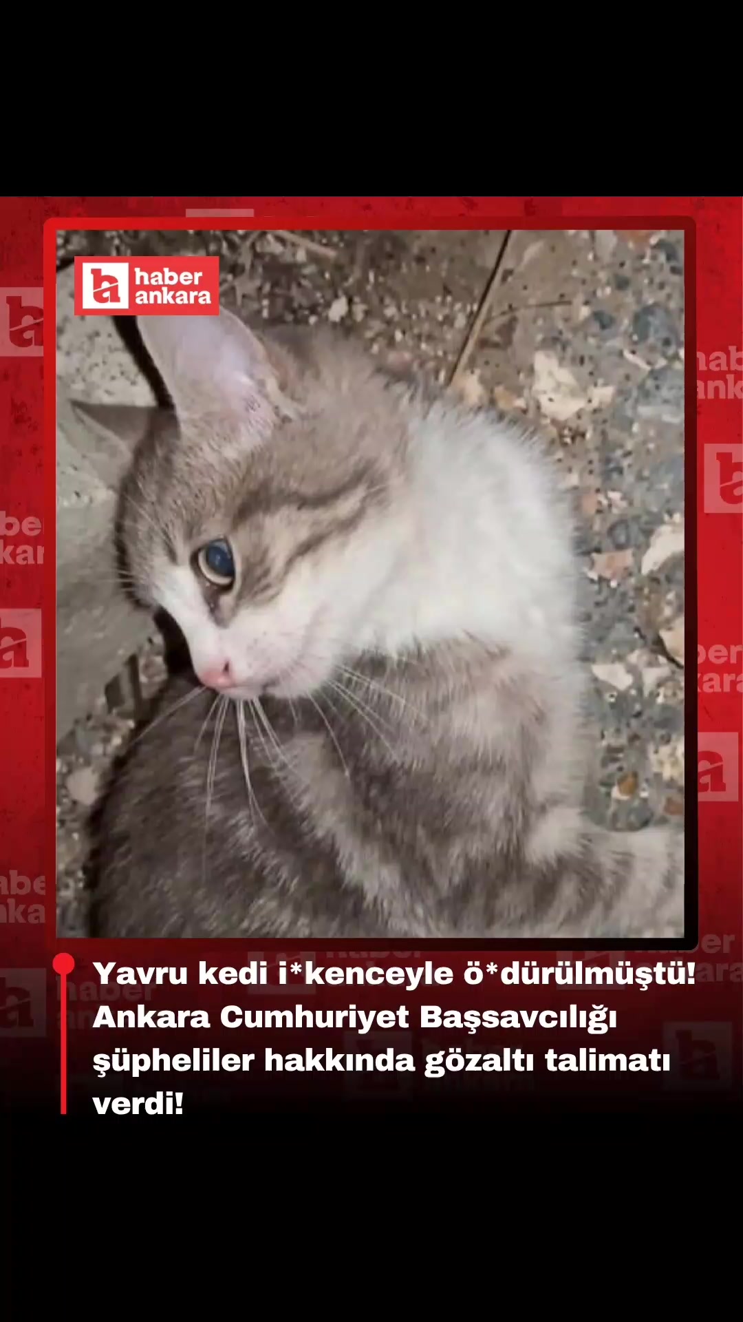 @Haber Ankara