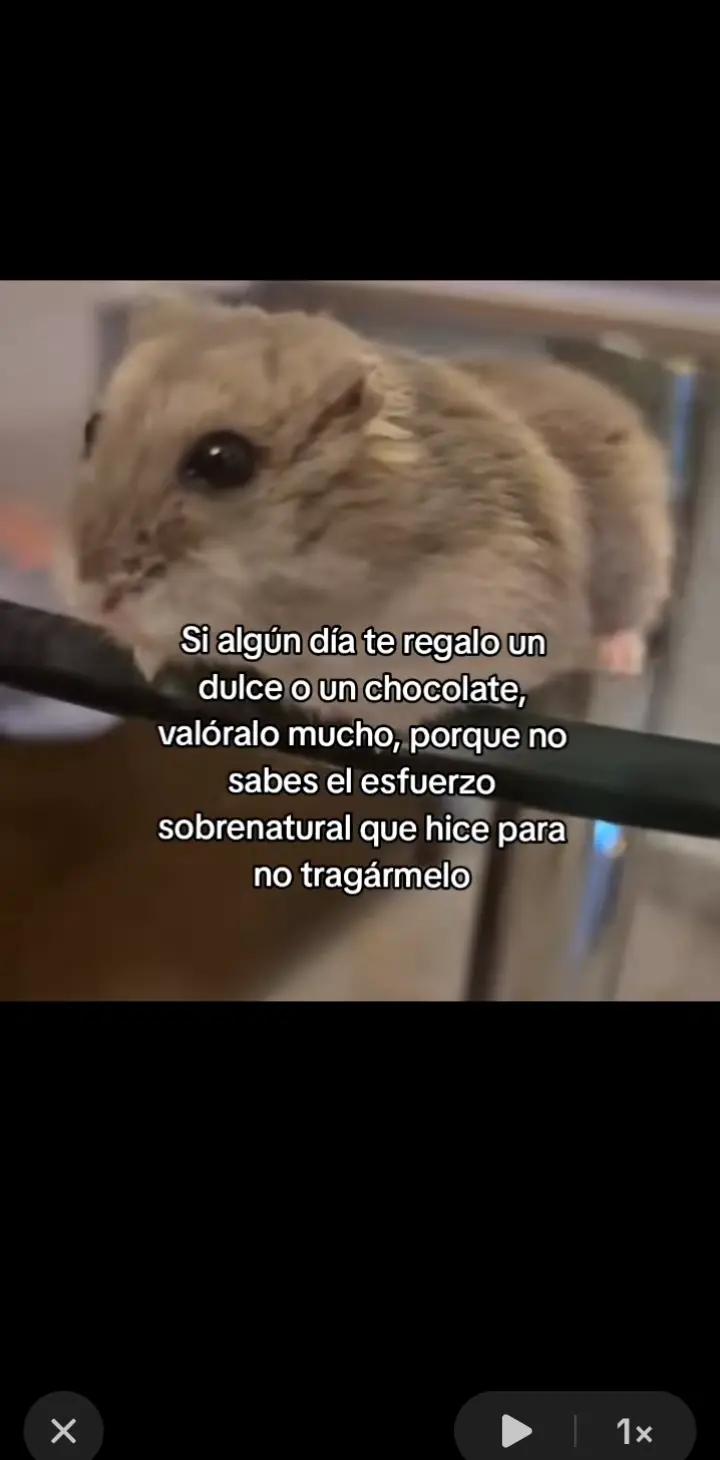 @Reflexiones.