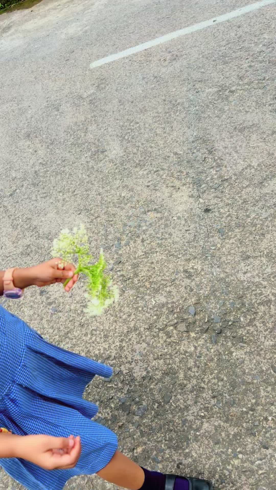 @manbi