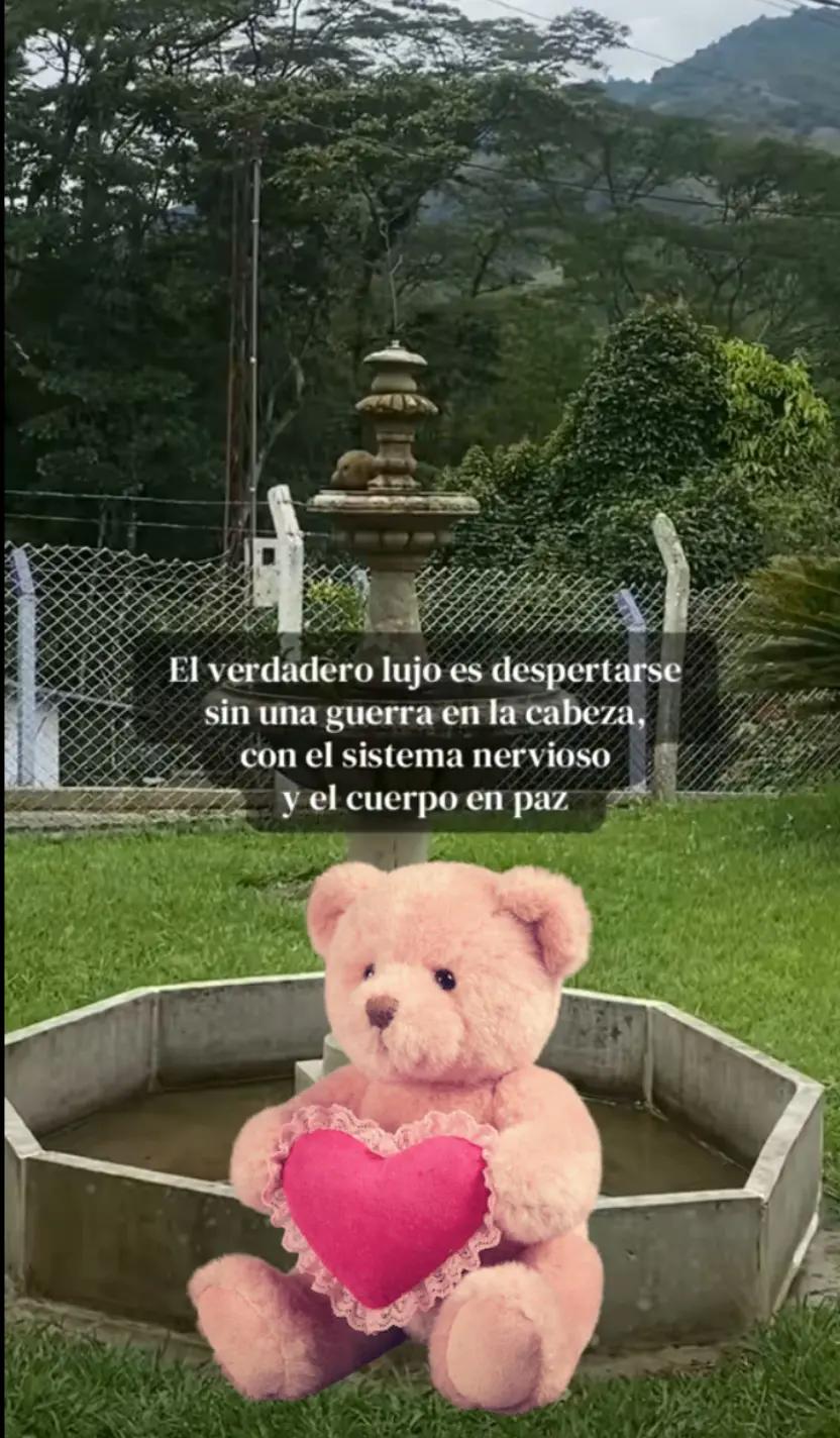 @delva99
