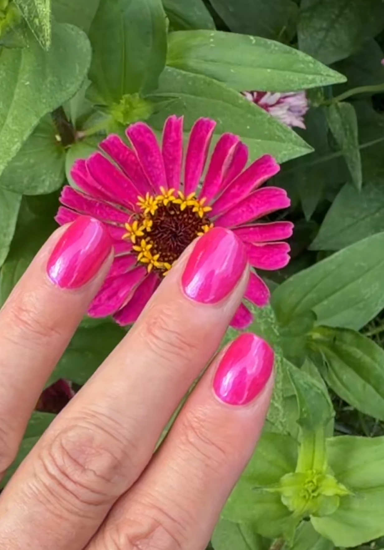 @beachflowersbake