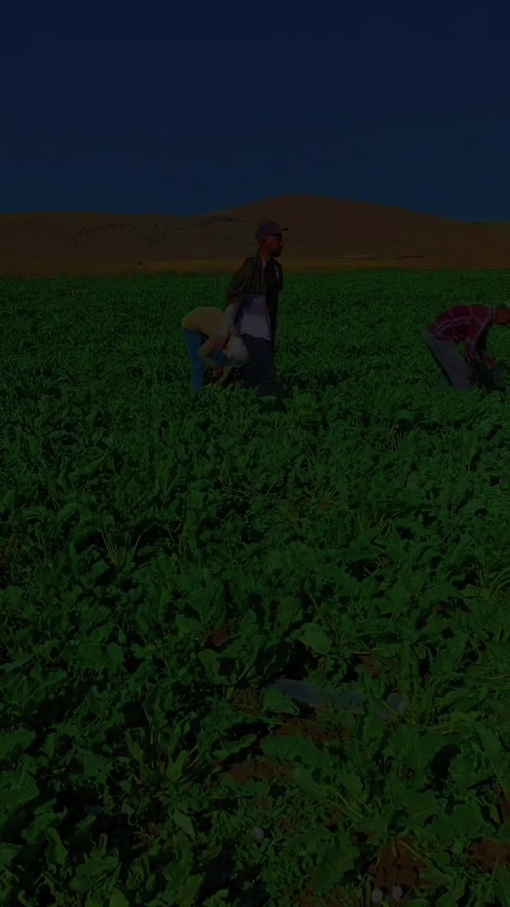 @H&uuml;seyin Abu Savaş