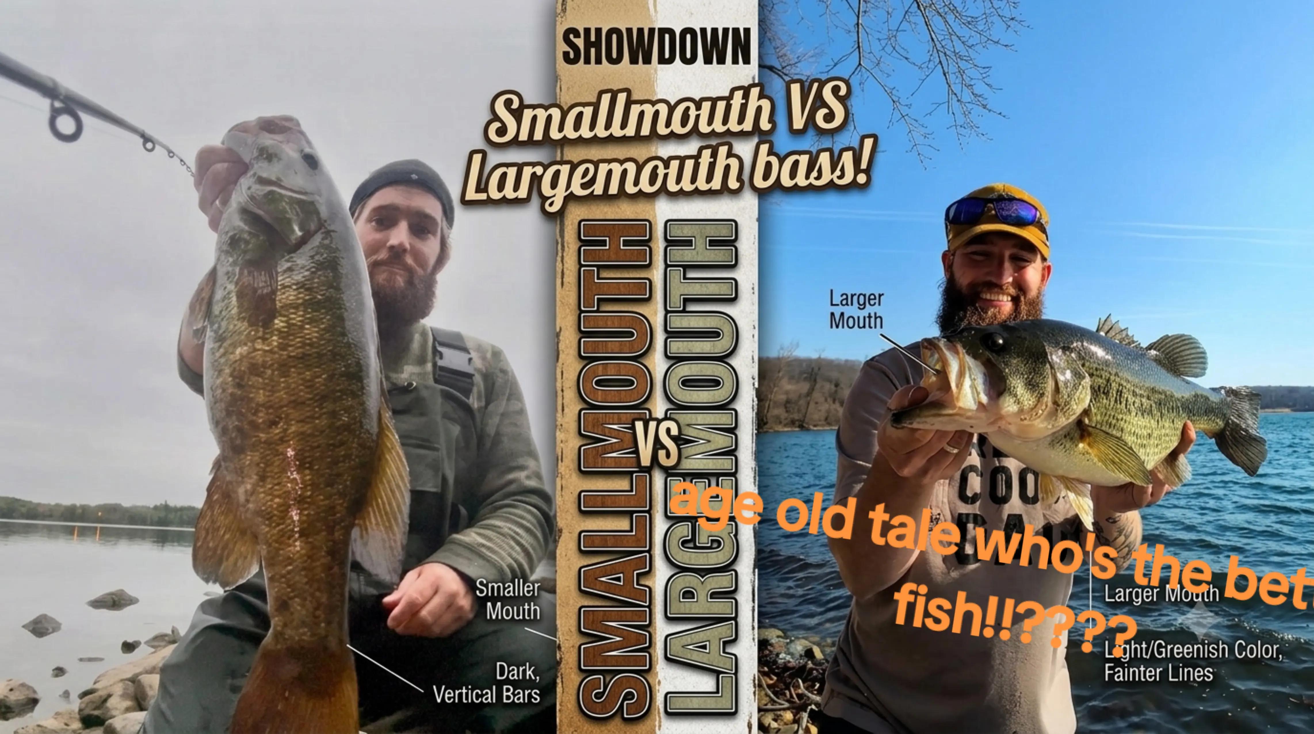 @BABSBIGZ827