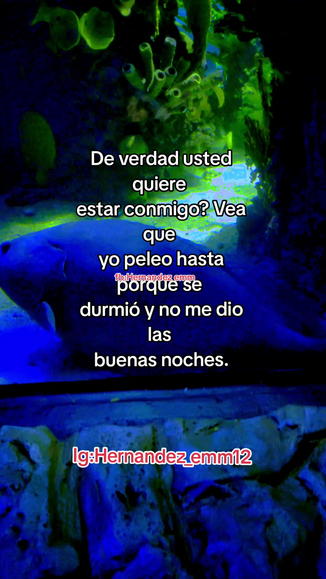 @👩&zwj;⚕️😈hernandez emm🔥🫰