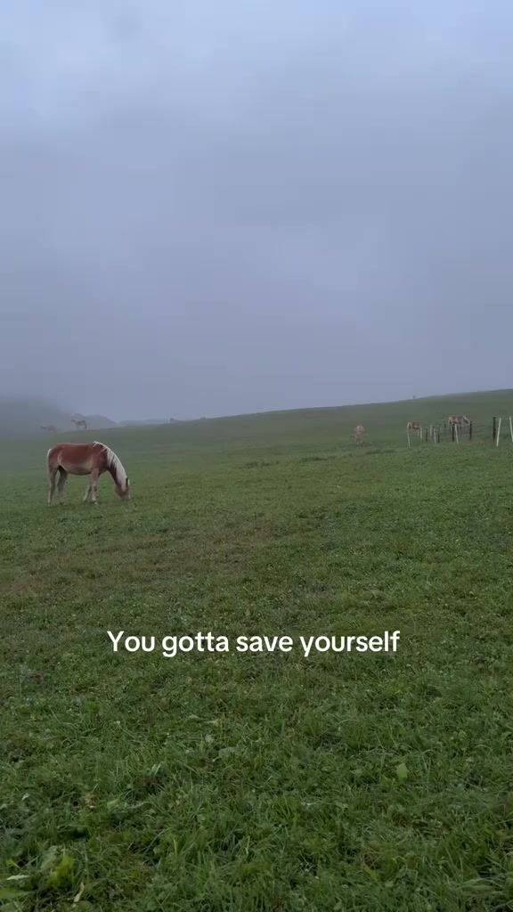 @Jack