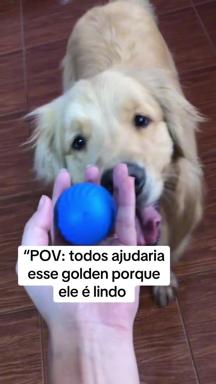 @Ajude a Lola