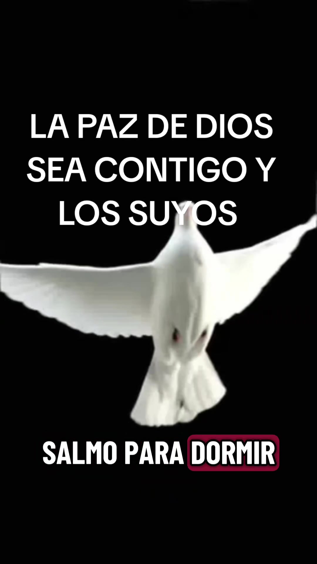 @Iliana Guerrier