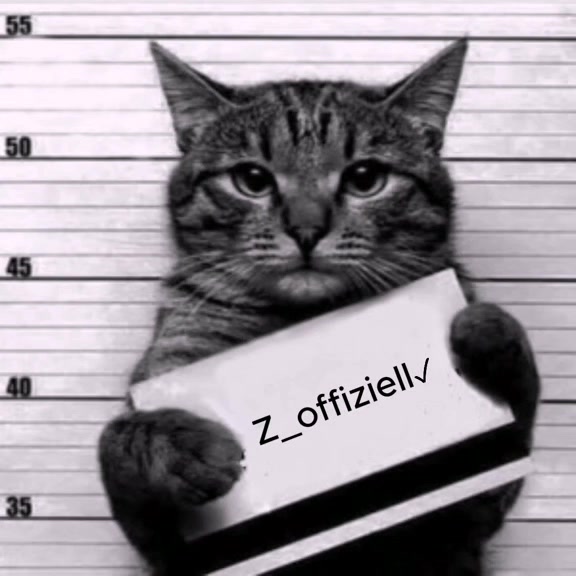 @Z_offiziell✓