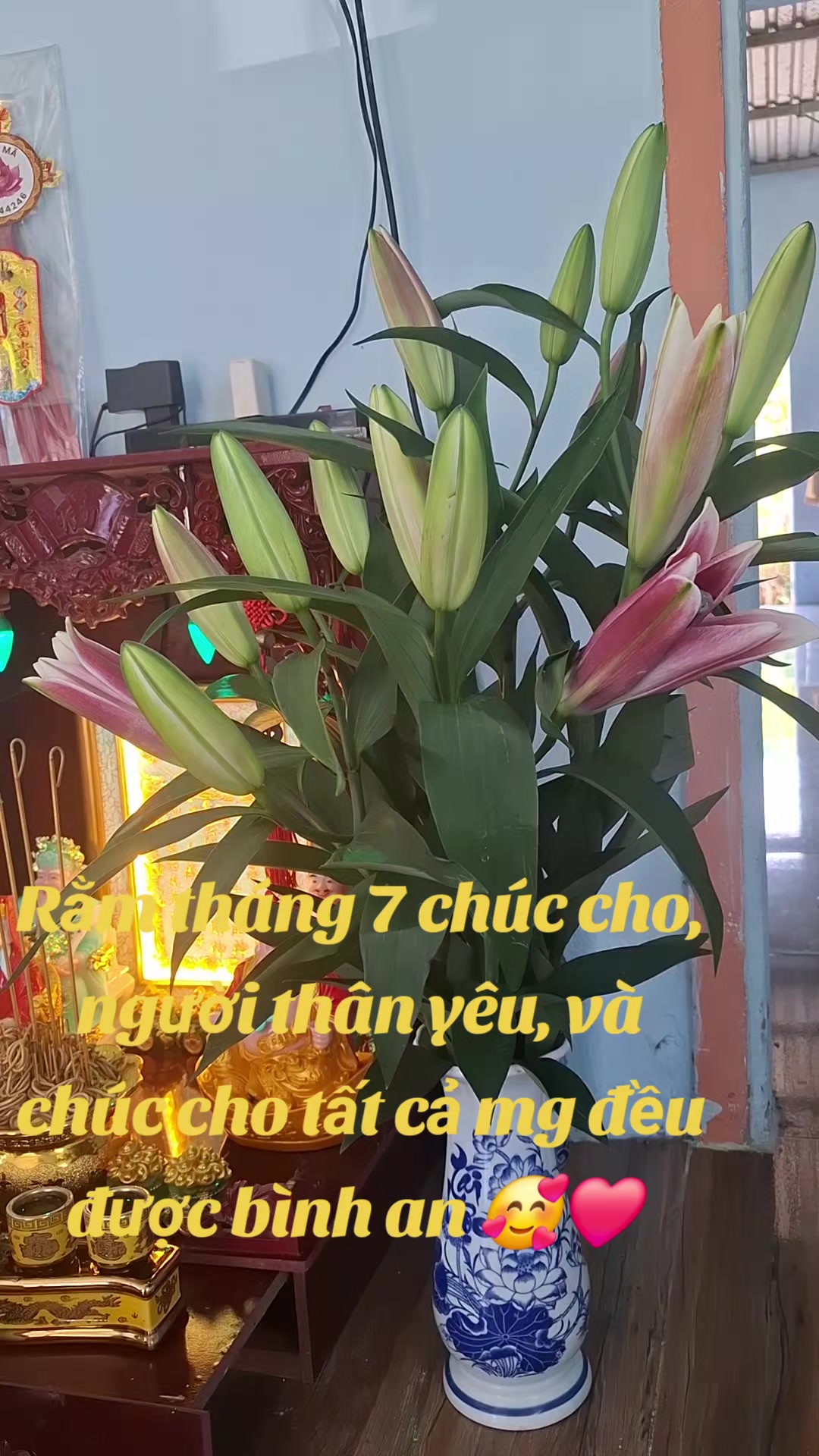 @nguyễn dung