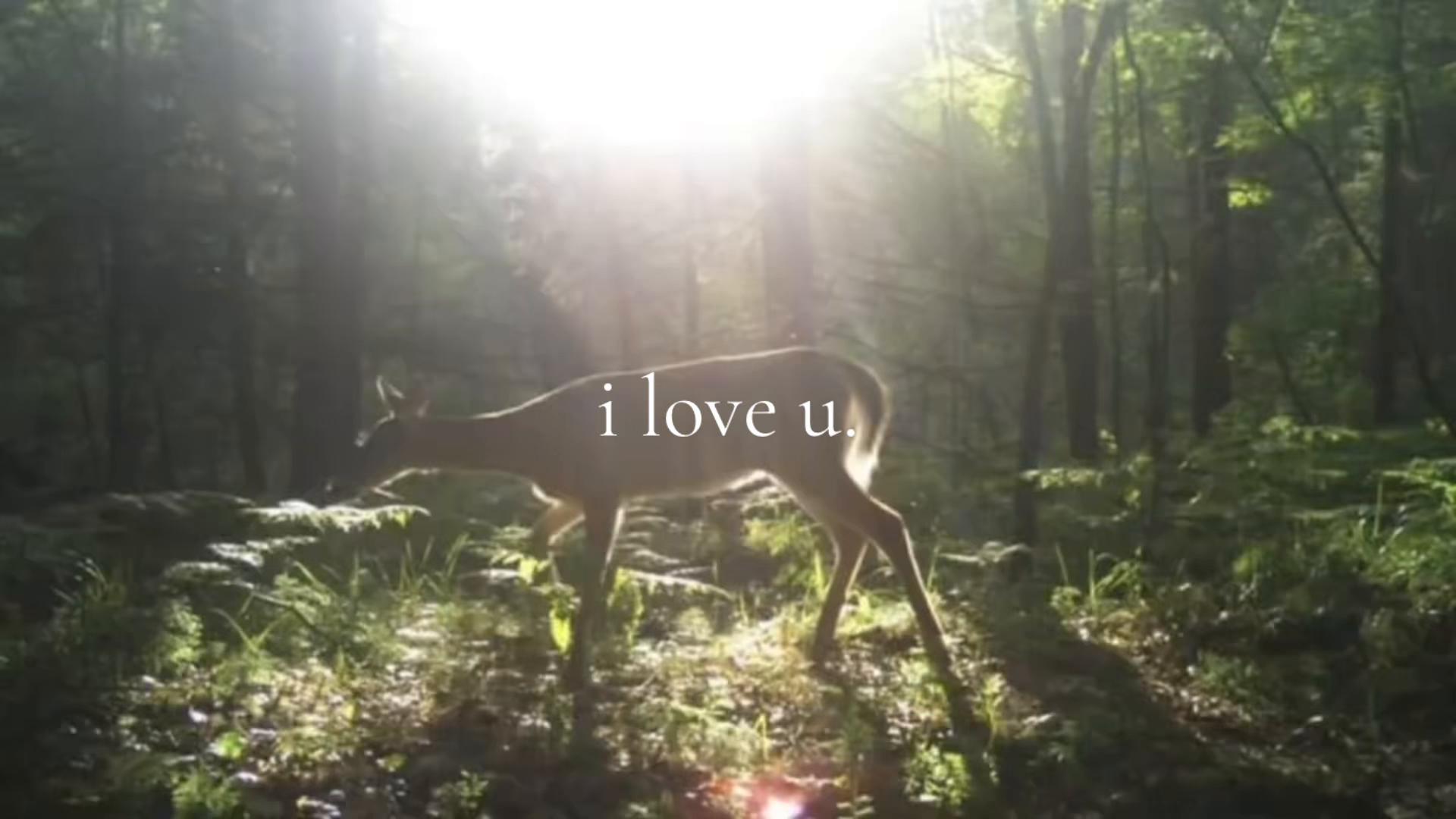 @Daniel Williams
