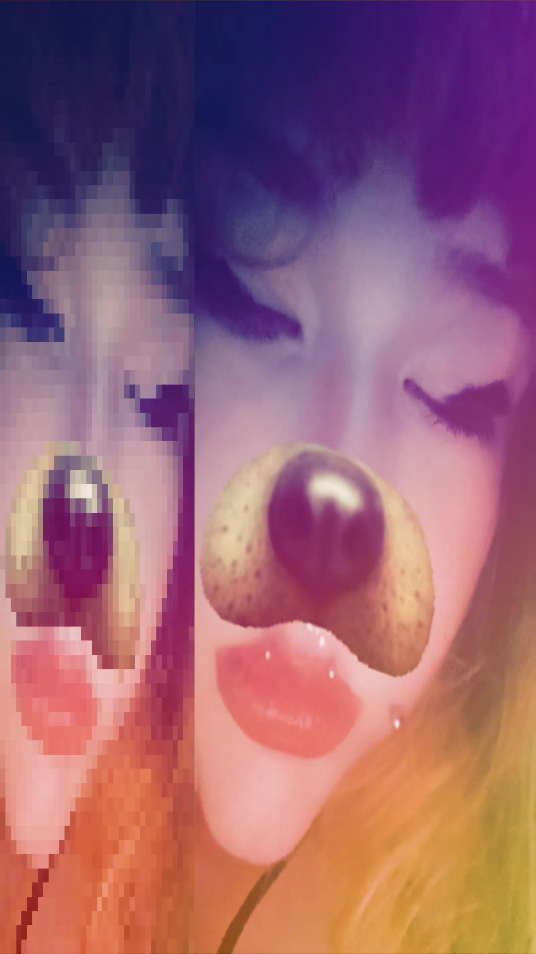 @🐶✨️chubby puppy!✨️🐶