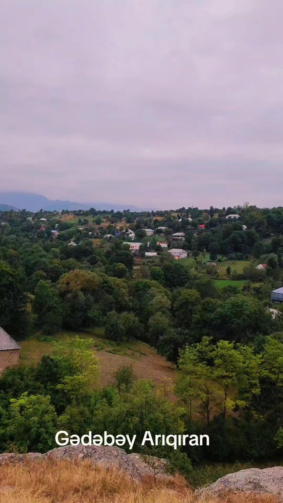 @Anar_Əliyev