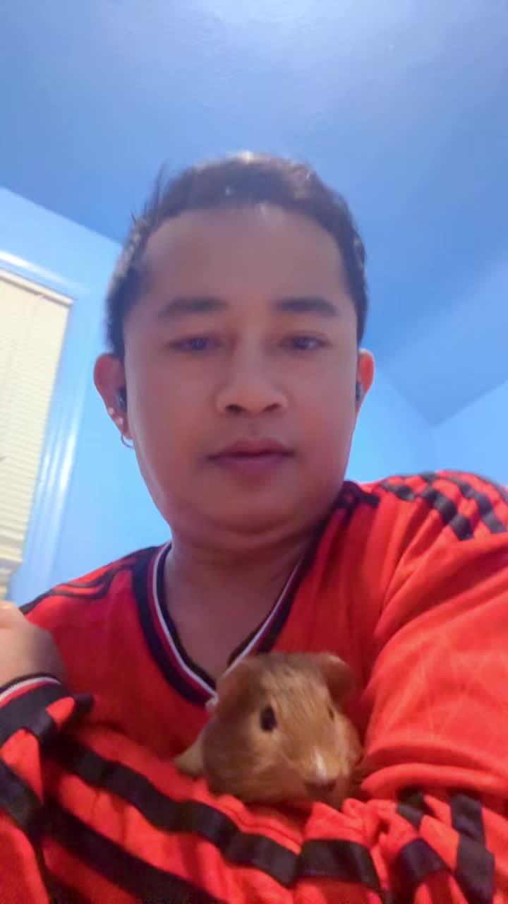 @petermaung