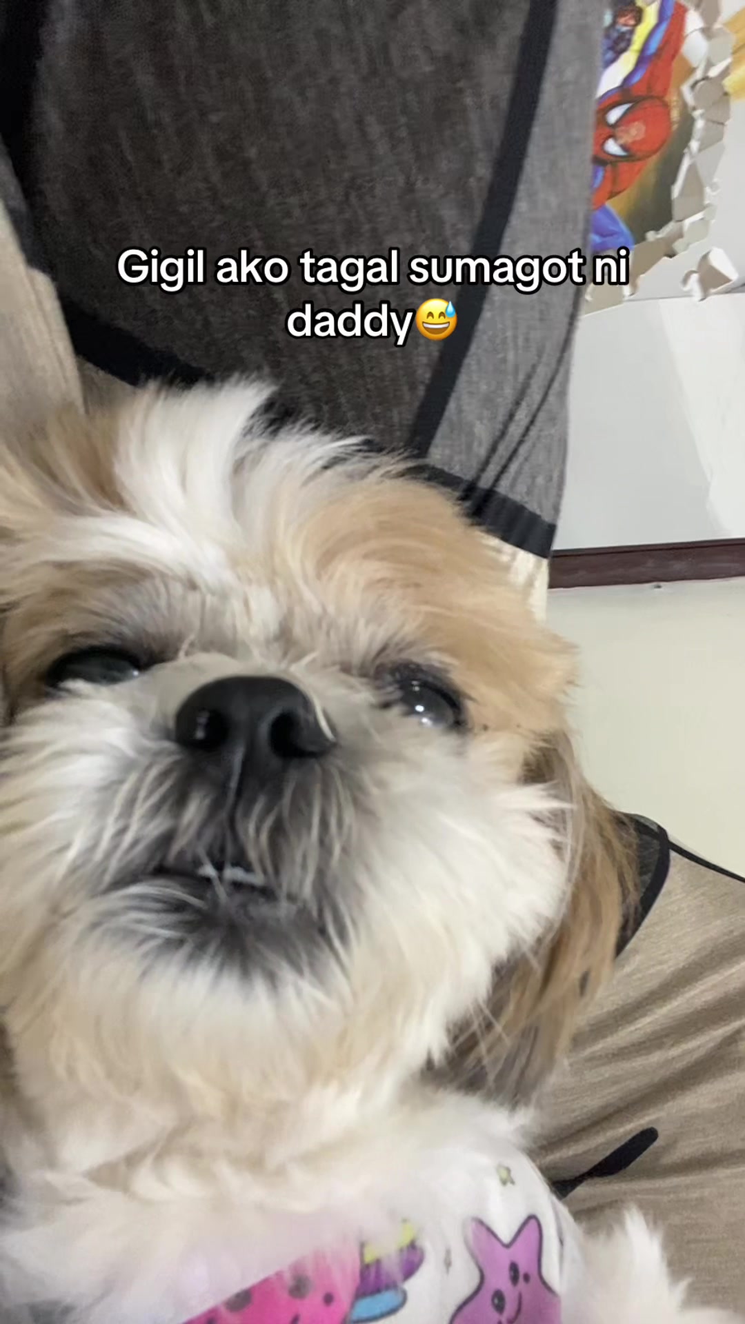 @`MYD&auml;HALU&hearts;️🐾🪬