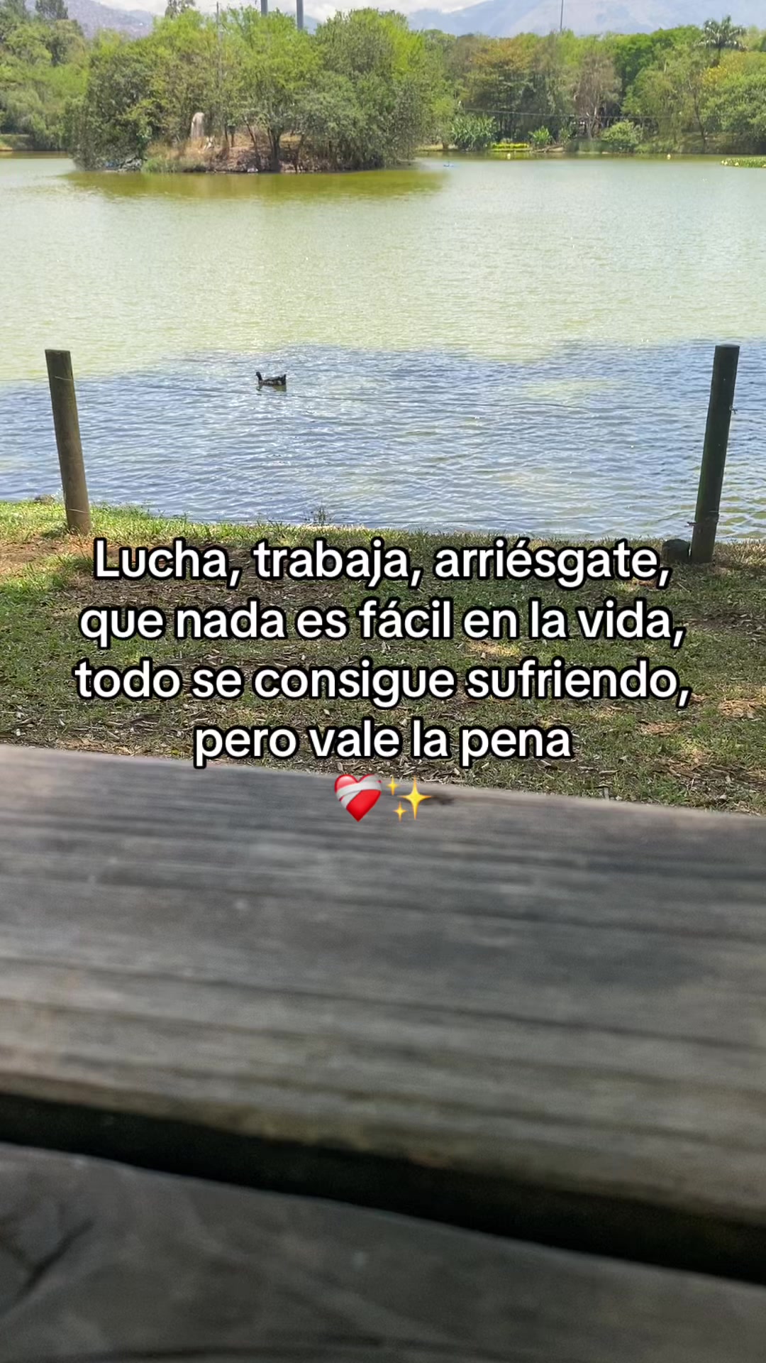 @enlarutavallenata29