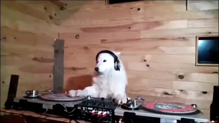 @BASSCLUB