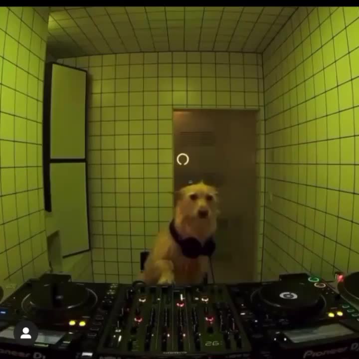 @BASSCLUB