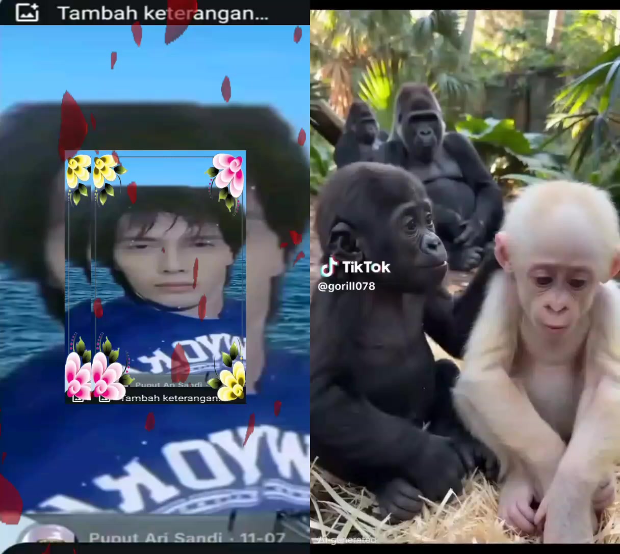 @drama kumbara35