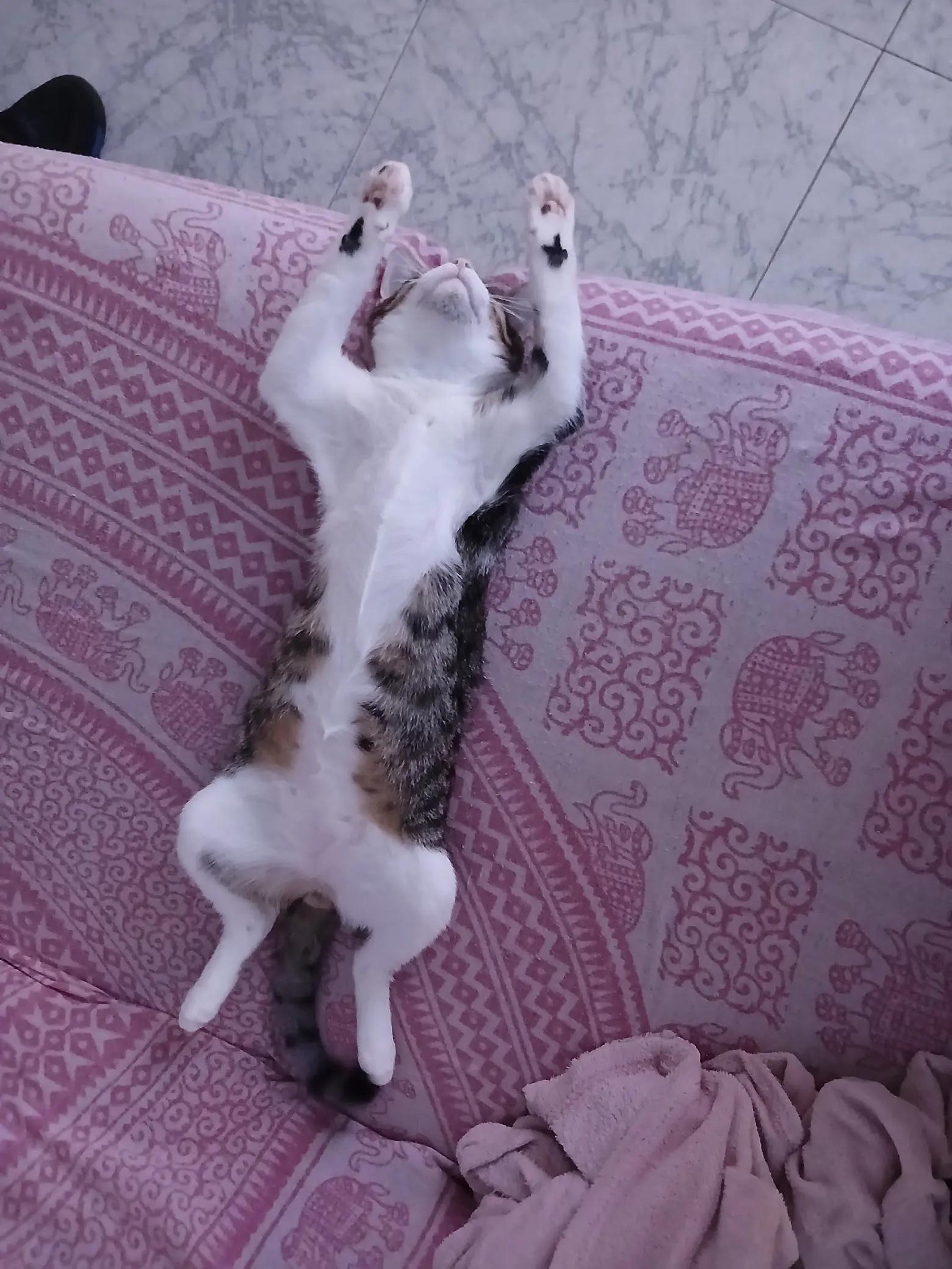 @lunita36