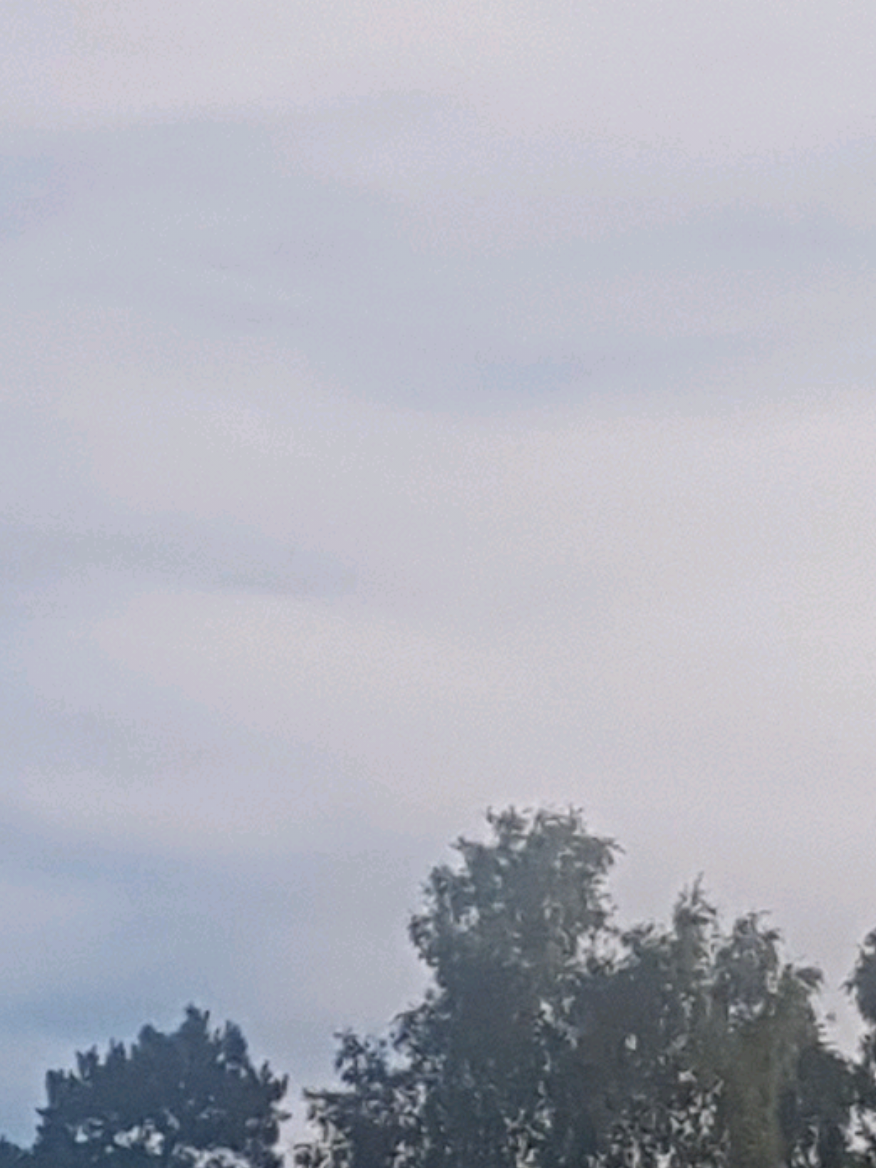 @shnadu🇫🇮