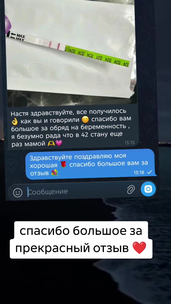 @Tarolog5467