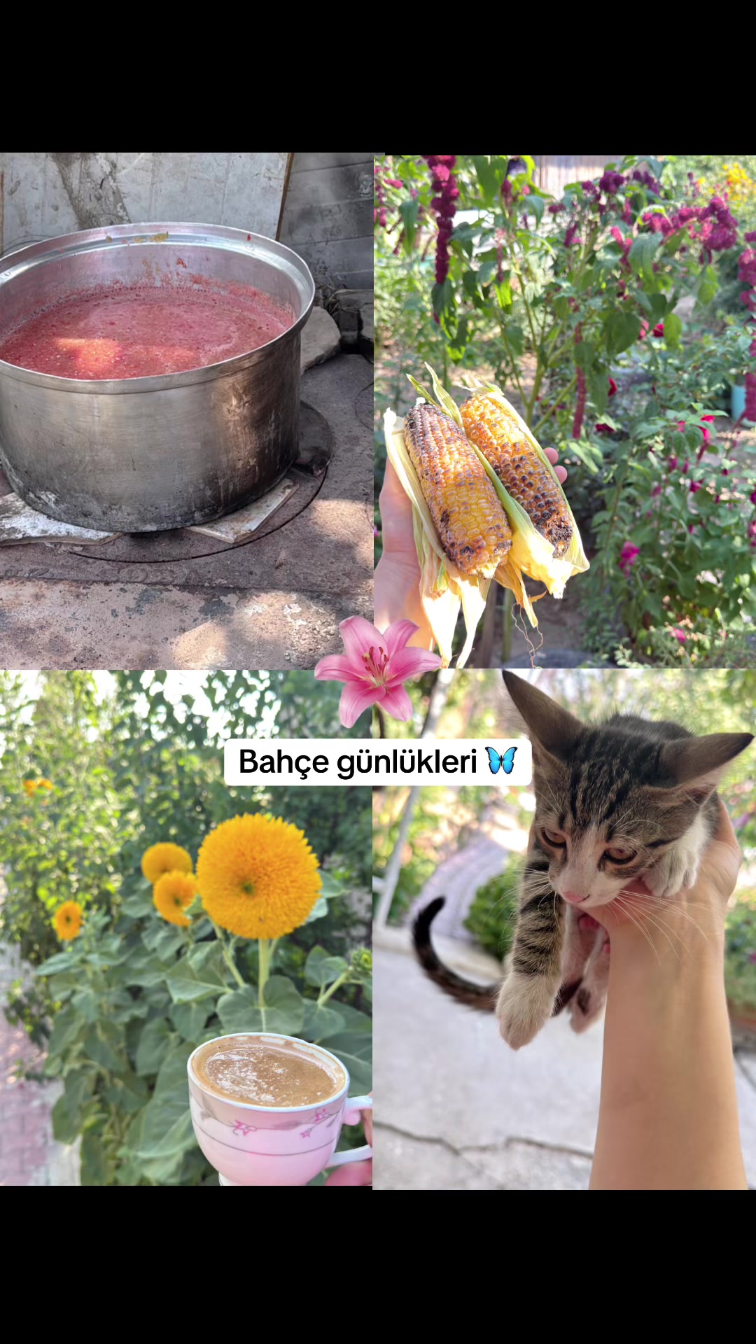 @Merve