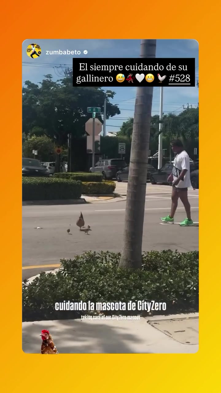 @ElGallinerodeBetoOficial