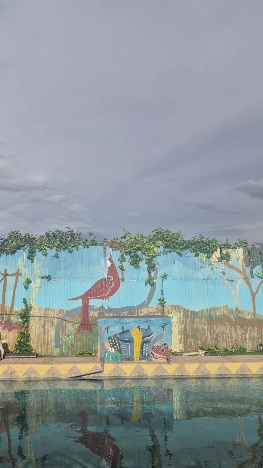 @guajira30🌵