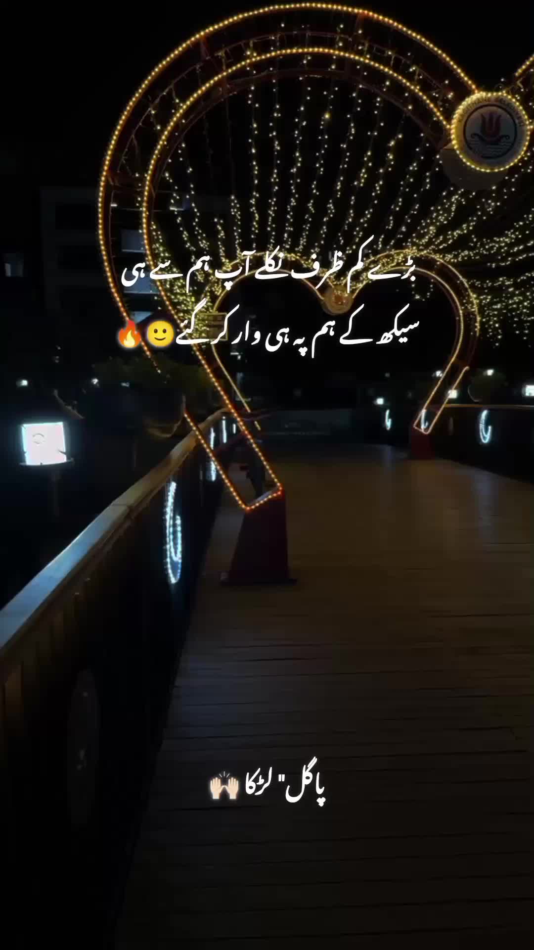 @پاگل لڑکا 🤍🥀
