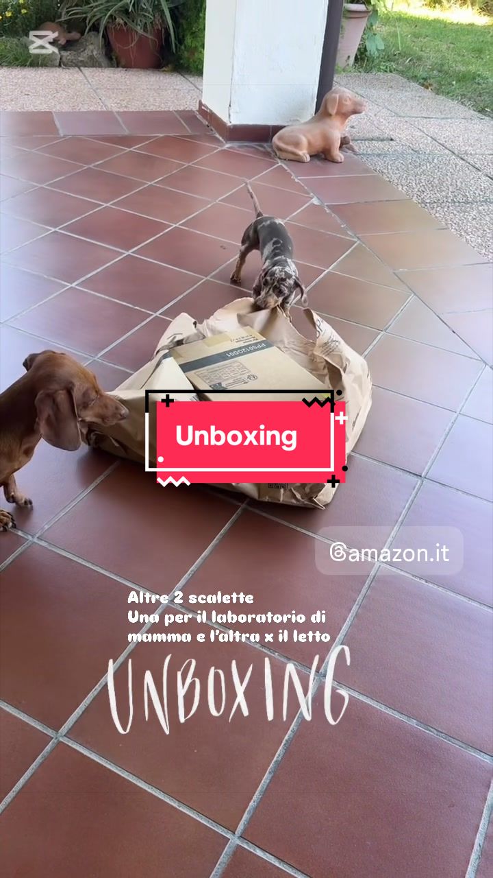 @MillyGraceDrusilla_LeFagioline