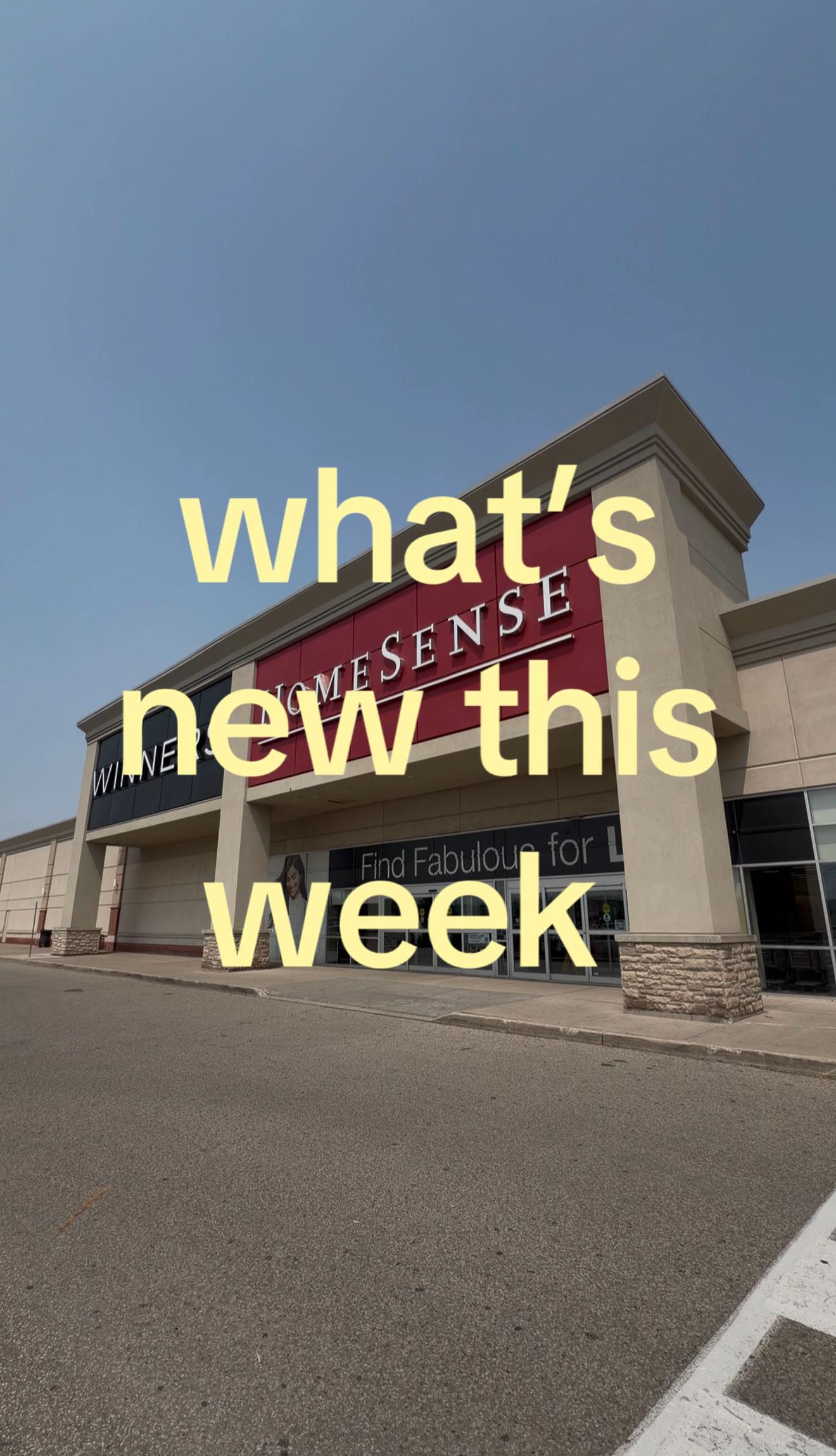 @Sab | Oakville Creator
