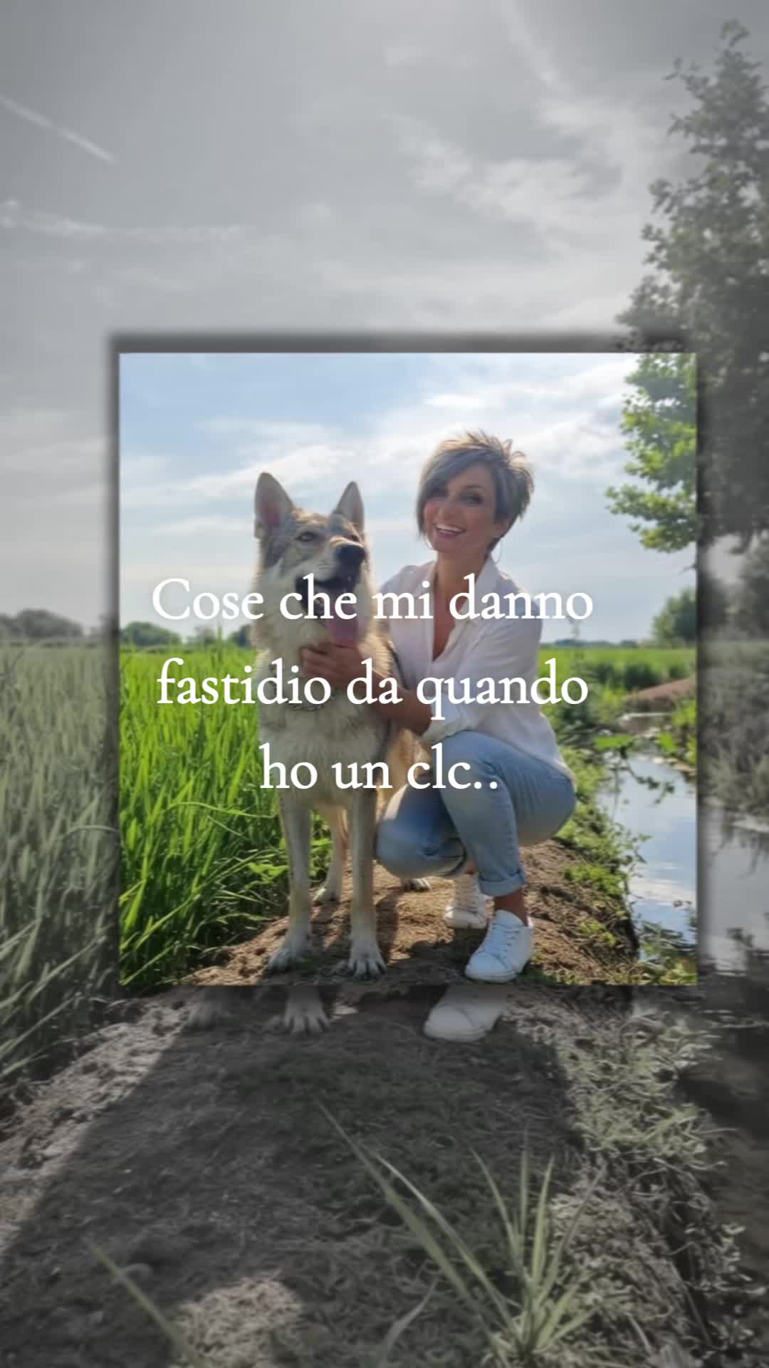 @Shadow She Wolf