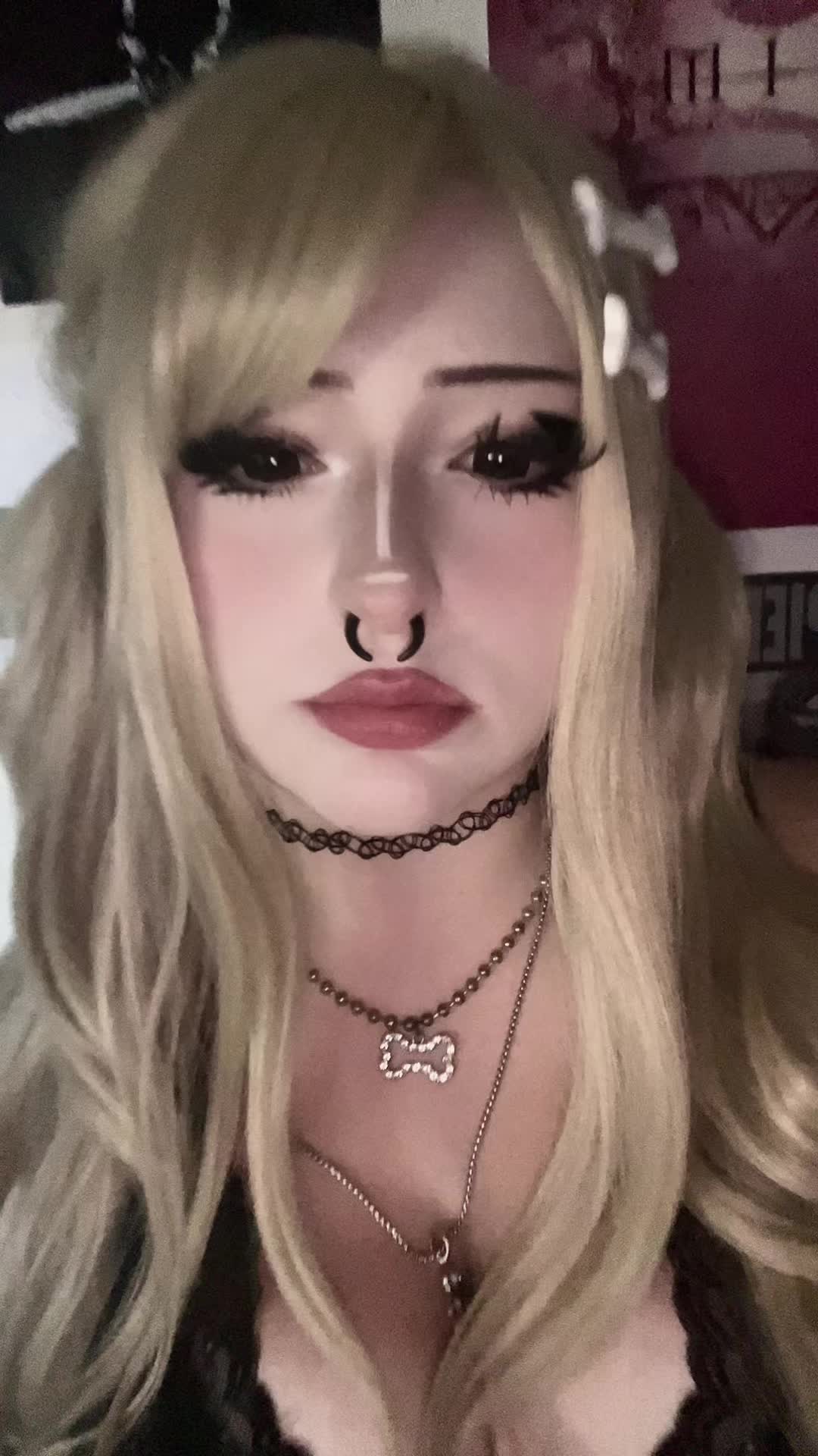 @mimi 🐾