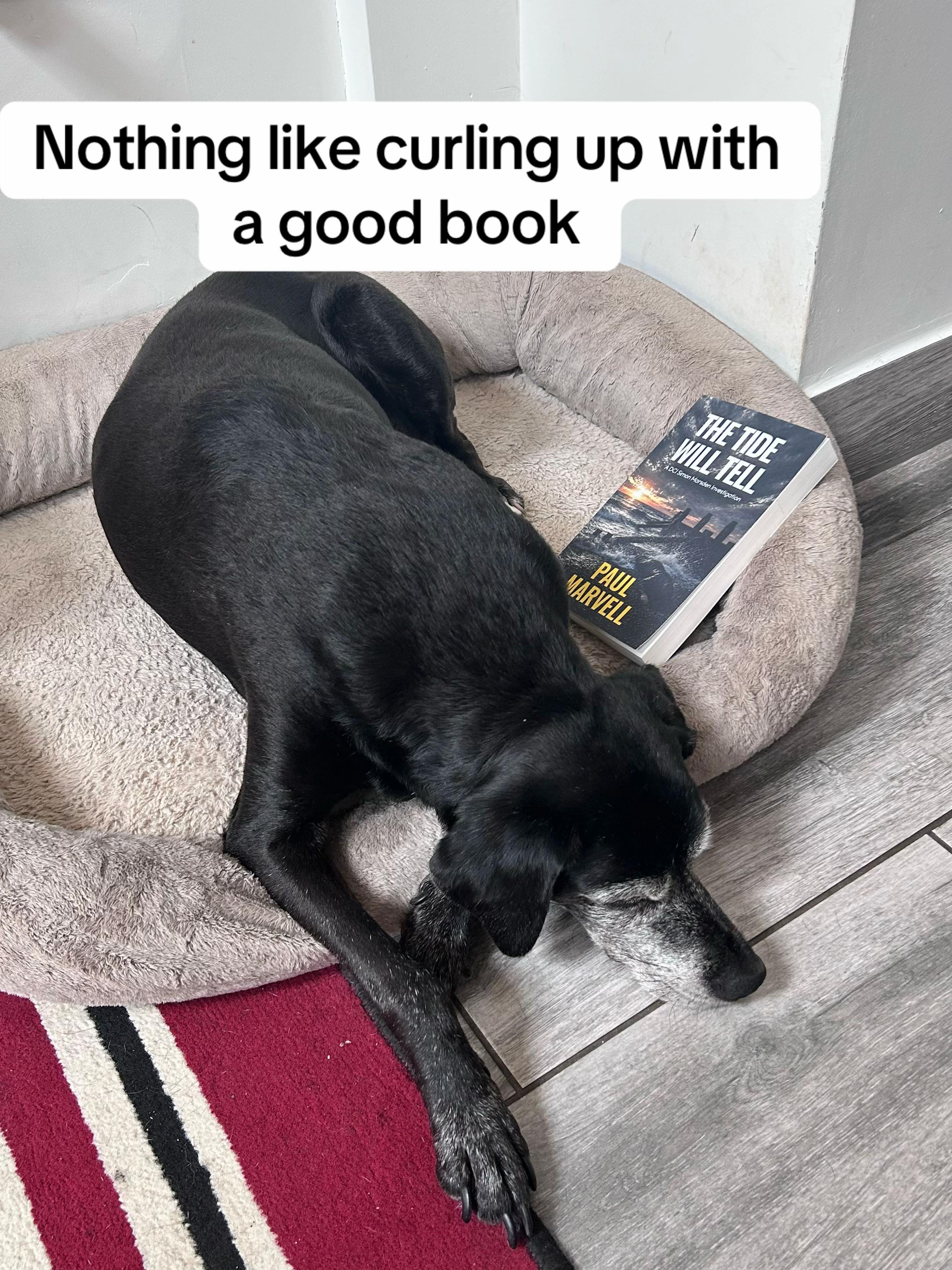 @paul_marvell_author