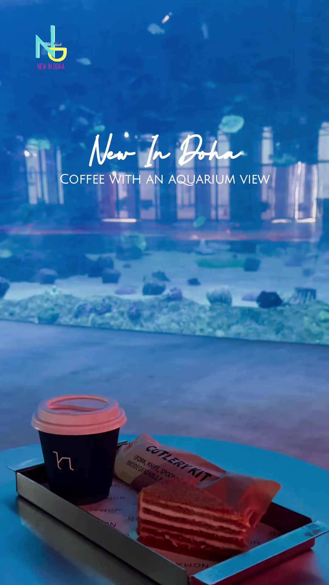 @New In Doha