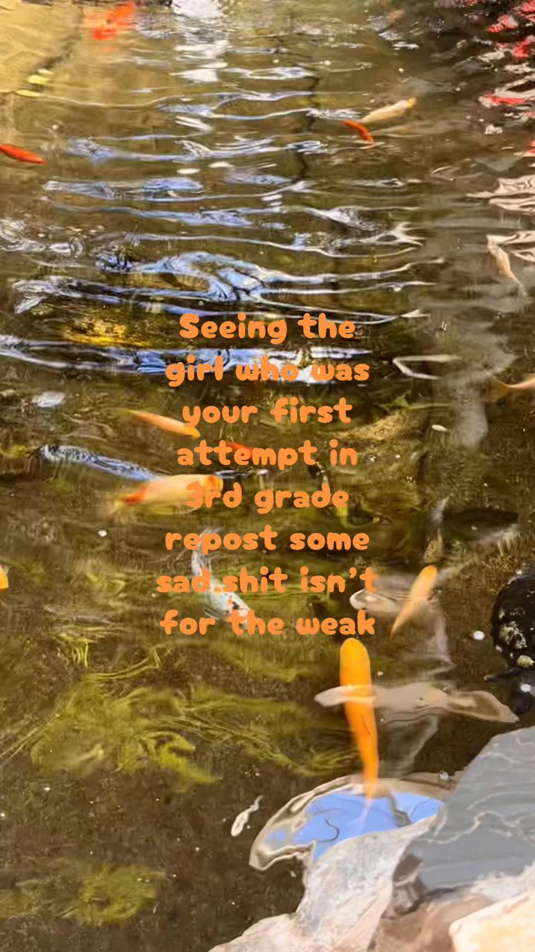 @⋆｡&deg;✧ 𝓢𝓹𝓵𝓪𝓽𝓢𝓪𝓵𝓵𝔂 ✧&deg;｡⋆