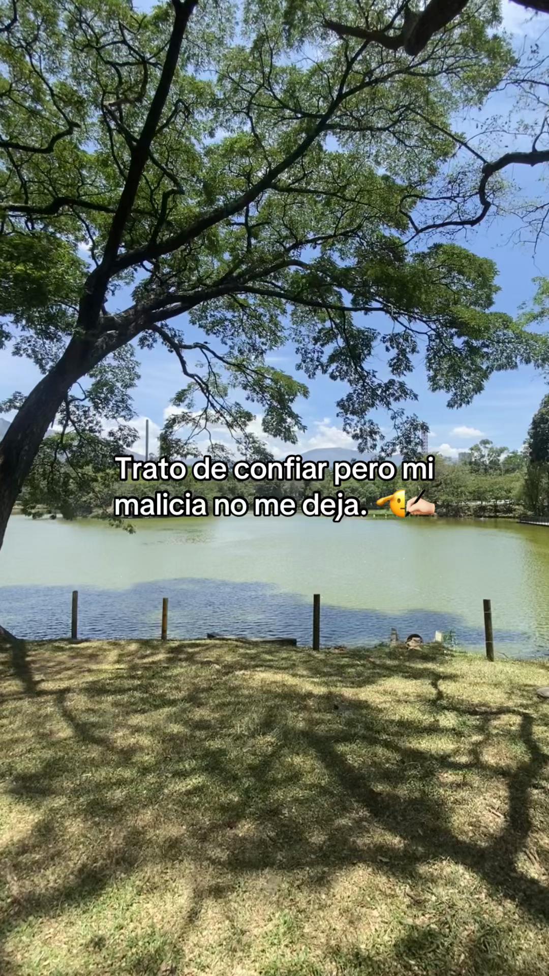 @enlarutavallenata29