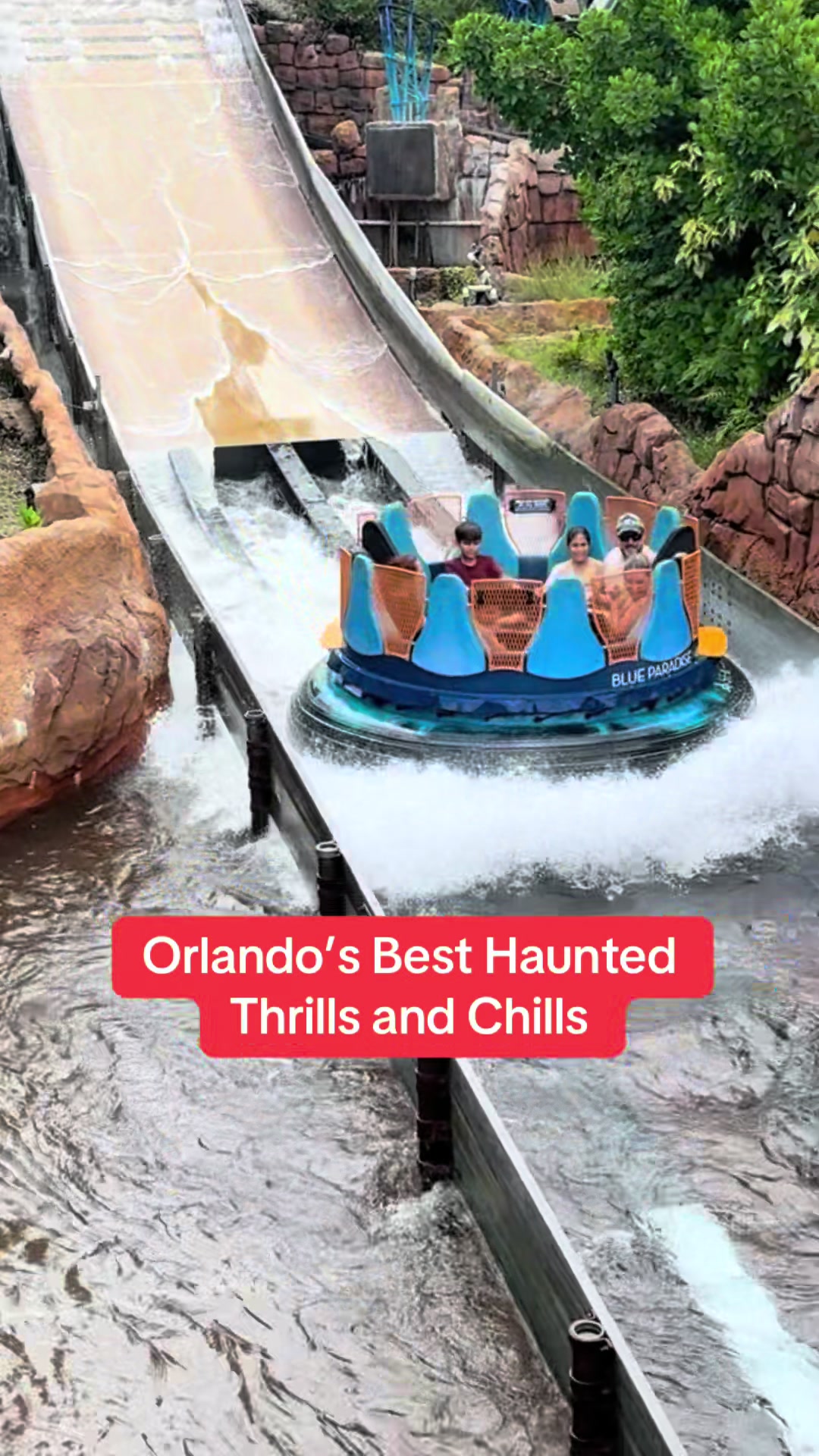@Orlando Experience