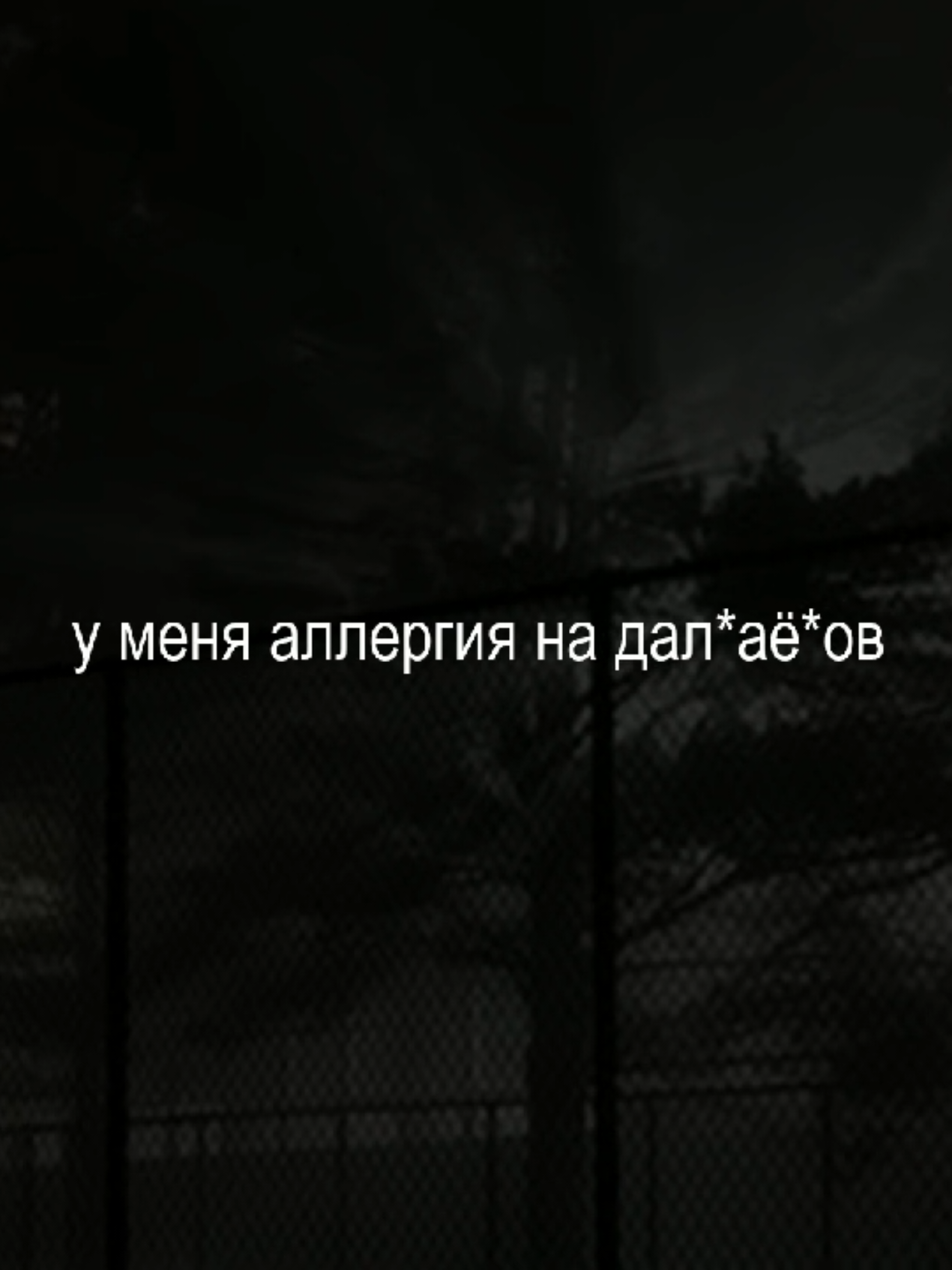 @musicfuz