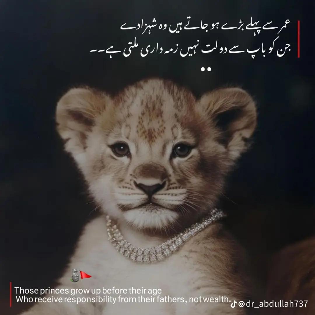 @@Saad sheikh 2218