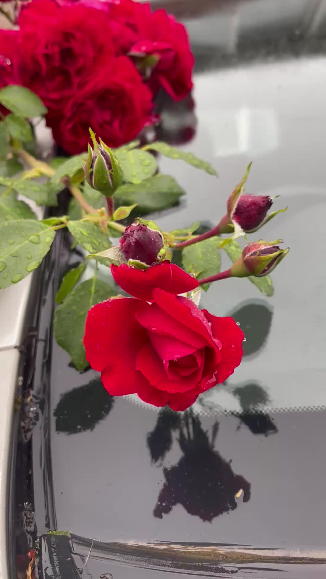 @Sajidkhan_waisa