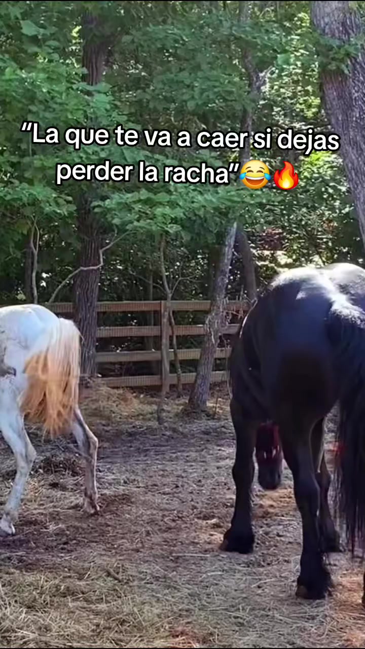 @Jos&eacute;❤️&zwj;🔥Pablo❤️&zwj;🔥Ch&uacute;m🇬🇹