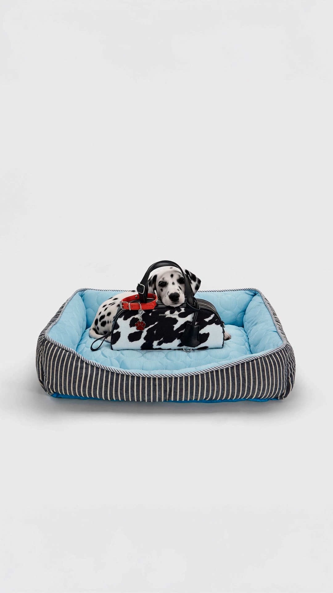 @CHARLESKEITHOFFICIAL