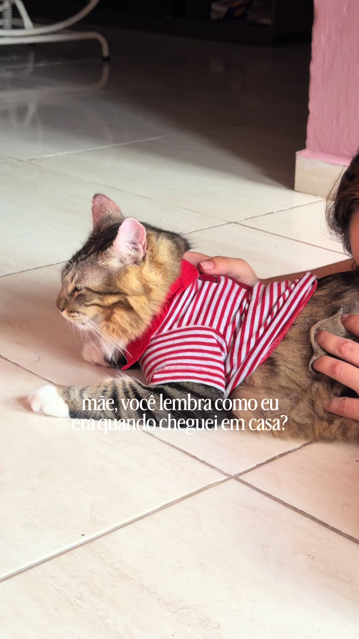 @ogatorenatinho