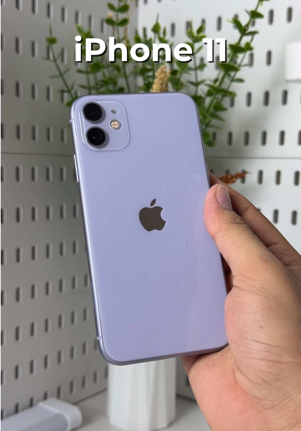@iPhonary 🩷