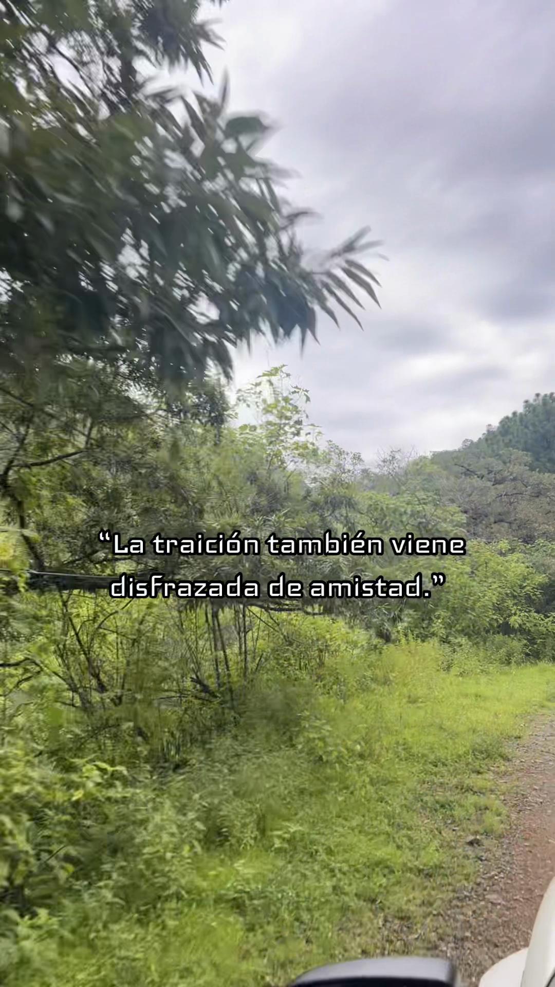 @gerardoavilezz