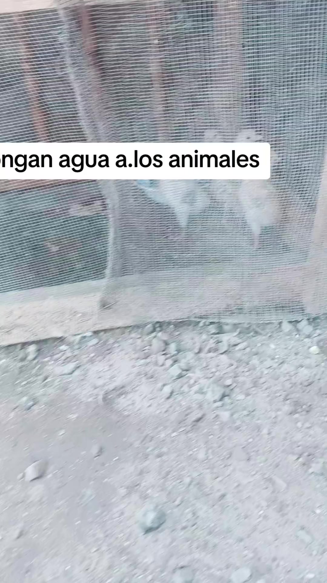 @claudianicaragua